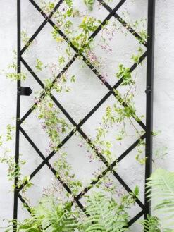Lattice Gable Wall Trellis -Garden Care Store 8611130 009
