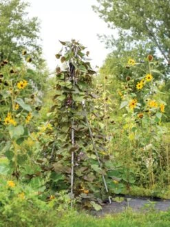 DIY Connector For Teepee Trellis -Garden Care Store 8611896 062 tif