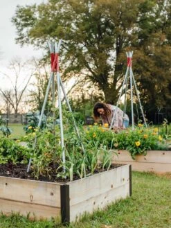 DIY Connector For Teepee Trellis -Garden Care Store 8611896 38 tif