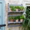 VegTrug® Herb Rack -Garden Care Store 8611930 6402 tif