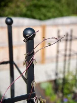 Essex Square Obelisk -Garden Care Store 8611984 278 tif