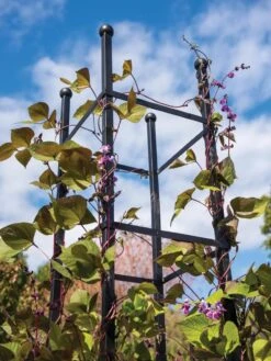 Essex Square Obelisk -Garden Care Store 8611984 354 tif