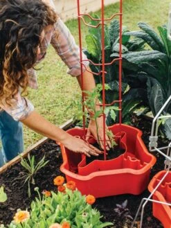 Deluxe Tomato Halos, Set Of 2 -Garden Care Store 8612045 135 tif