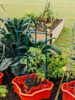 Deluxe Tomato Halos, Set Of 2 -Garden Care Store 8612045 221 tif