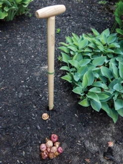 Wicked Big Dibber 10 Wicked Big Dibber -Garden Care Store 8612667 0028