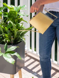 Precision Brass Watering Can 9 Precision Brass Watering Can -Garden Care Store 8612691 0011