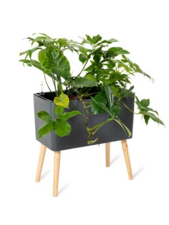 Ava Self-Watering Rectangular Planter -Garden Care Store 8612691 0013