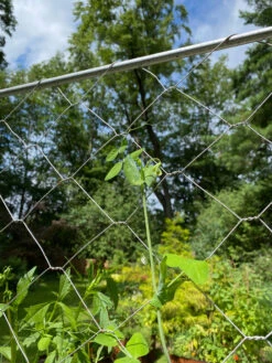 Chicken Wire Pea Trellis -Garden Care Store 8612718 7311