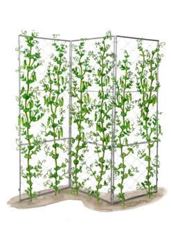 Chicken Wire Pea Trellis -Garden Care Store 8612718 peatrellis art chicken wire pea trellis