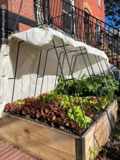 Cotton All Purpose Garden Cover -Garden Care Store 8612816 01CUST