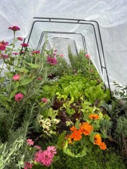 All-Purpose Garden Fabric -Garden Care Store 8612816 01TEST