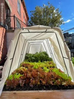 Cotton All Purpose Garden Cover -Garden Care Store 8612816 03CUST