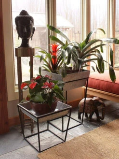 Achla Designs Arne Plant Stand -Garden Care Store 8612900 03v