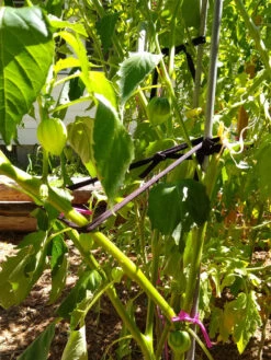 Farmyarn® Multipurpose Garden Tie, 2 Pack 16 Farmyarn® Multipurpose Garden Tie, 2 Pack -Garden Care Store 8612948 02v