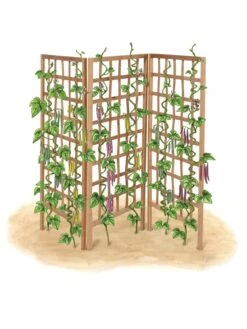 Bamboo Zig-Zag Trellis 24" X 36" -Garden Care Store 8613151 art flat
