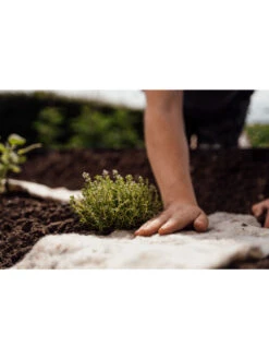 Hortiwool ®, Starter Garden Pad 9 Hortiwool ®, Starter Garden Pad -Garden Care Store 8613263 09v
