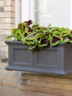 Fairfield Self-Watering Window Box, 2’ -Garden Care Store 8613268 08V tif