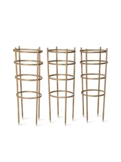 Bamboo Tomato Cages, Set Of 3 -Garden Care Store 8613426 4679 bamboo tomato cages 3