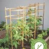 Bamboo Tomato Cages, Set Of 3 -Garden Care Store 8613426 7