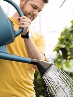 French Blue Watering Can -Garden Care Store ChrisAhrensSquare 0118 tif