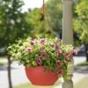 Self-Watering Hanging Basket -Garden Care Store GS34368 10 tif