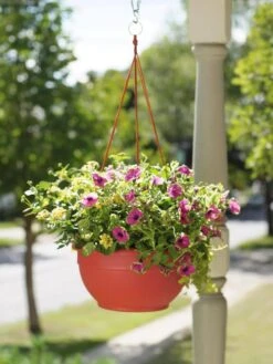 Garden Care Store 11 Self-Watering Hanging Basket