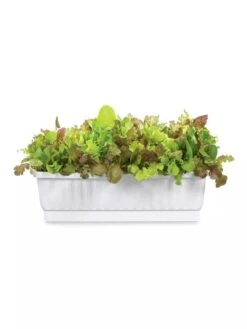 31" Self-Watering Window Box -Garden Care Store GS36523 01Z 3 4