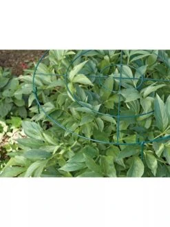 Grow Through Supports, Set Of 3 -Garden Care Store GS40172 01 1