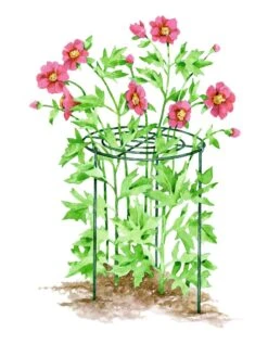Grow Through Supports, Set Of 3 -Garden Care Store GS40173 01S tif