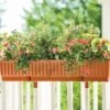 39" Self-Watering Window Box 2 39" Self-Watering Window Box -Garden Care Store gs34503 01