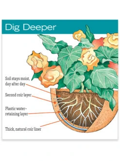 AquaSav™ Replacement Liners, Set Of 3 -Garden Care Store hiw 38 583