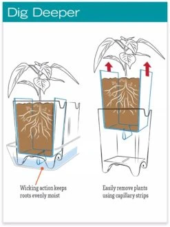 Stoneware Self-Watering Windowsill Planters, Set Of 2 11 Stoneware Self-Watering Windowsill Planters, Set Of 2 -Garden Care Store hiw 8593943 jpg
