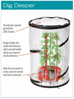 Tomato TLC Kits, Set Of 3 -Garden Care Store hiw 8594214 jpg