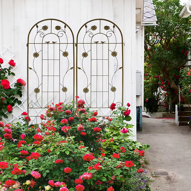 Garden Care Store 1 Garden Care Store -Garden Care Store 1